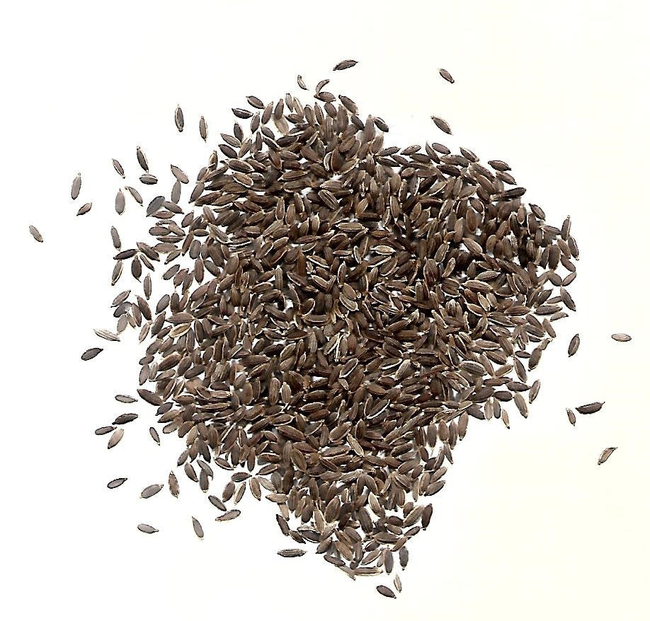 DILL SEEDS - Leena Spices