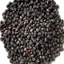 BLACK URAD - BLACK GRAM - WHOLE DAL - Leena Spices