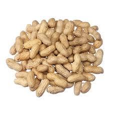 PEANUTS IN SHELL - Leena Spices