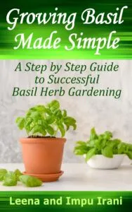 growing basil made simple