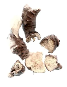 dried galangal leena spices