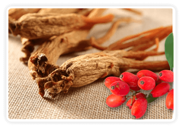 berberine-korean-red-ginseng-leena-spices