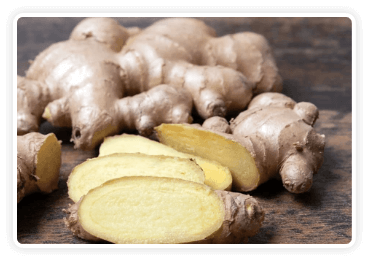himalayan-mountain-ginger-leena-spices