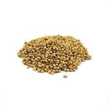 Coriander Seeds