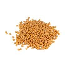 mustard-seeds-yellow